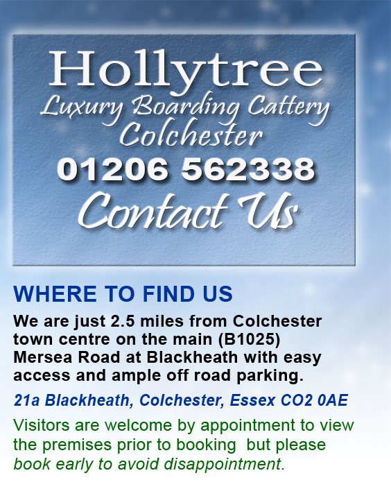 Hollytree Contact_Us